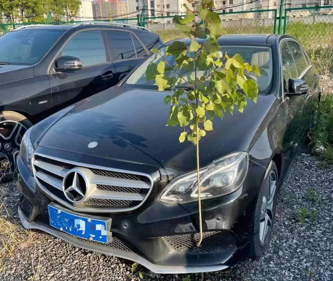 成都汽车抵押借钱平台，成都典当行哪家好